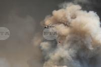 EU Sends Emergency Assistance to Serbia to Fight Forest Fires