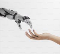 The Two-Interface Company: Designing One Business for Humans and Another for Machines