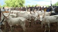 Pilot Ranching On The Graves Of Victims Of Mass Atrocities