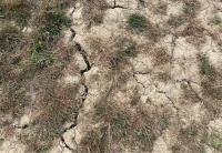 ‘Come together to combat climate change crisis’