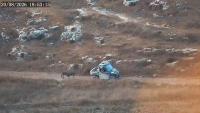 Sanctioned by EU, Israeli settler steals and kills Palestinian donkey