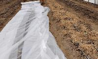 Searching Beneath the Surface for New Farms