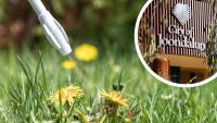 City of Joondalup’s chemical weed reduction plan ‘doesn’t meet community expectations’, advocates warn
