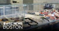 Boston Provisions Market brings fresh fish catches to the Seaport