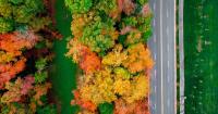 When is the first day of fall in Virginia? When foliage could start changing in 2026