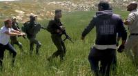 Human Rights Watch expresses alarm over escalating settler violence in Gaza