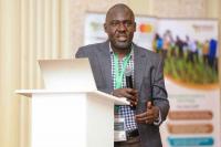 Botswana’s Agricultural Game-Changer: Safflower Production Scales Up to Boost Food Security and Smallholder Farmers