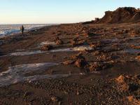 Shapes of Western Alaska bays influence local flood danger