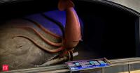 In 1997, scientists strapped cameras to sperm whales to find giant squid. 7 years later, researchers finally filmed the elusive monster alive