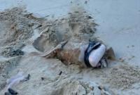 Suspected Vavaʻu packages remain unexplained despite NZ-backed anti-drug measures