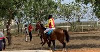 Accra’s only public horse racing course destroyed at Borteyman