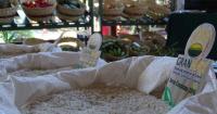 The State fails to fill the markets, but a company in Granma is preparing a virtual store to sell agricultural products