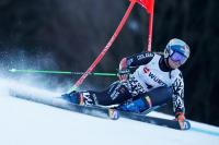 Robinson headlines alpine ski fundraiser
