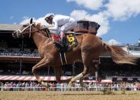 Constitution’s American History Puts Maiden Win In The Books With ‘TDN Rising Star’