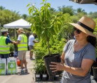 Miami-Dade to Give Away Free Trees at Zoo Miami on Sept. 13