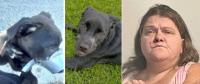 Central Florida Woman Faced Criminal Charges for Taping Dog’s Muzzle Shut