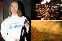 World-renowned winemaker buys burned-out 500-acre Napa Valley vineyard to rebuild historic estate amid brutal industry crash