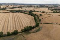 Value of farmland in the North shows resilience