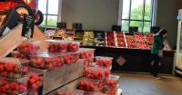 Popular farm shop praised for ‘excellent’ breakfasts, pies, and huge food selection
