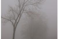 WEATHER: Fine conditions as fog and clouds hit parts of SA