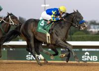 Imagination to Mountain View Farm in New York Upon Retirement