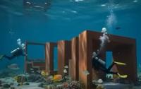 St Lucia staging national exhibit for underwater sculpture park