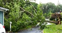 Residents, businesses impacted by storm offered federal loans
