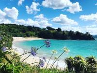 ‘Bring your best bikini’: Big-name film and music stars ask about buying $20m-plus NZ island