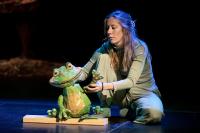 Learning more about Lake Superior, Best hamburgers in Wisconsin, A play about wetlands