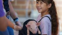 How can baby animals tell us what it means to be an Iowan?