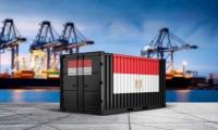 Egypt Ships 320,000 Tons of Food Products to 184 Countries in Two Weeks