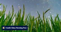 China builds world’s first custom plant immunity system for epidemic response