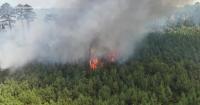 Wildfires Burn More Than 2,500 Acres Across Southeast Arkansas