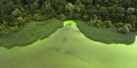 Toxic algae detected at Colorado's largest reservoir as officials warn visitors of health risks