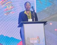 US-ANES 2026: Eswatini eyes nuclear power