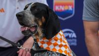 See photos of Smokey XII at One Knoxville SC game at Covenant Health Park
