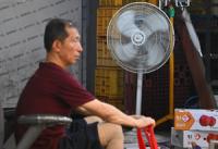 Busan latest to turn to ‘climate insurance’ as extreme weather worsens