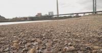 Record-low Rhine water levels strain German industrial supply chain