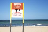 Shark bite off the coast of Brazil spotlights tours baiting sharks for viral close-ups
