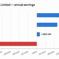 FosRich losses double as solar panel prices fall faster than distributors can keep pace