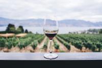 Carpe Wine: The grapes built for climate change