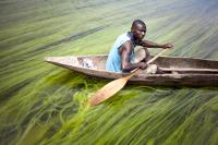 The myth of the Third World