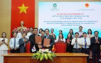 K-Market turns Korean ODA rice project into commercial venture in Vietnam