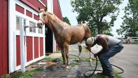 Horseback riding in Detroit? Buffalo Soldiers preserves legacy started long ago