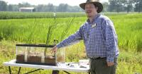 Agriculture in NWLA: LSU research station in Bossier striving to improve modern farming
