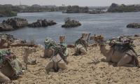 China, Arab states launch a five-year action plan to combat drought, desertification and land degradation