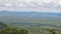 Climate change destabilising Western Ghats’ forest ecosystems in Nilgiri Biosphere Reserve, warn researchers