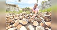 PH exporters miss P7.7B in UK tariff breaks