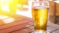 Customers Agree: These 10 Aldi Beers Are Worth Trying In 2026