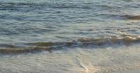 More Than 60 Syringes Wash Ashore at Popular Jersey Shore Beach